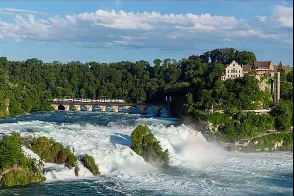 Modern Holiday Home Near Rheinfall And Black Forest Weisweil  Экстерьер фото